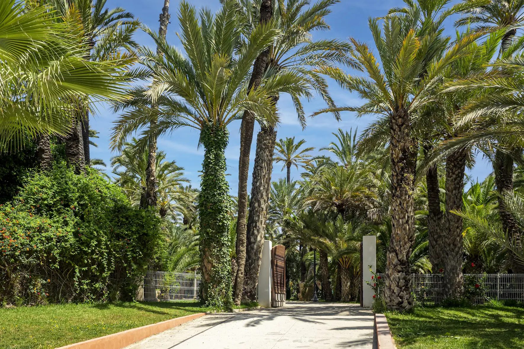 Elche City Tour